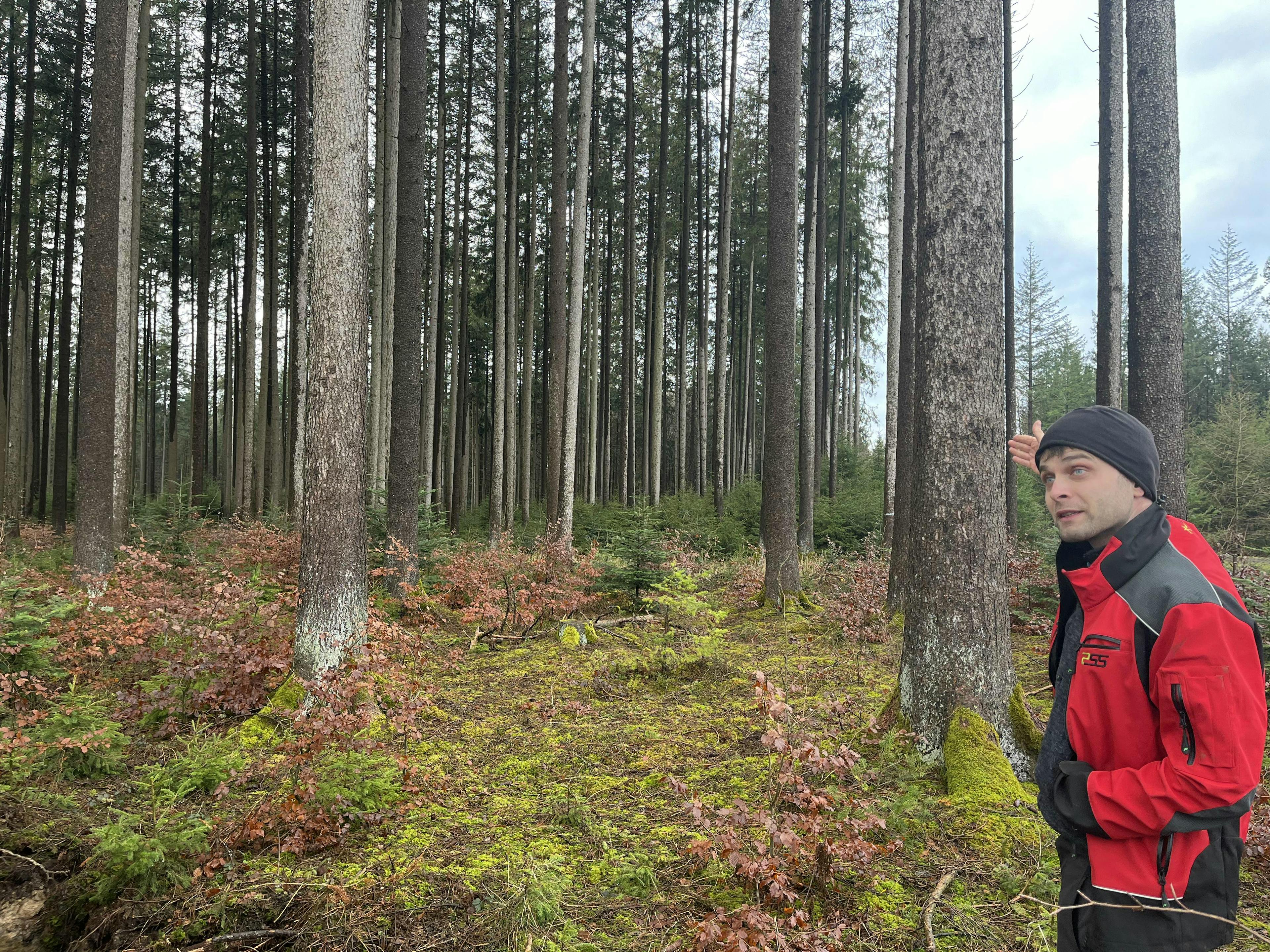 Förster Dubetz in seinem Wald in Großaitingen